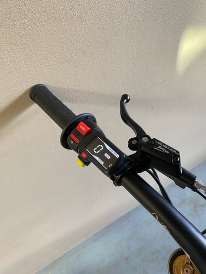 2025 Surron Light Bee X Purple