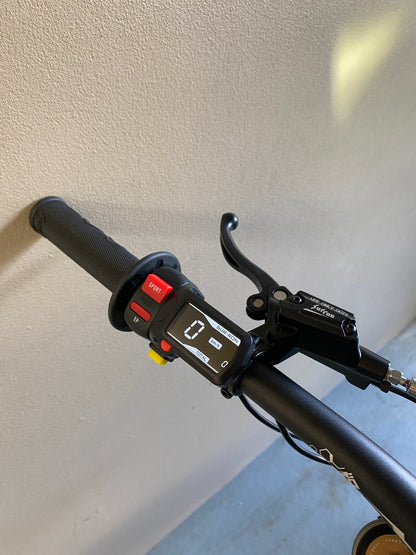 2025 Surron Light Bee X Green