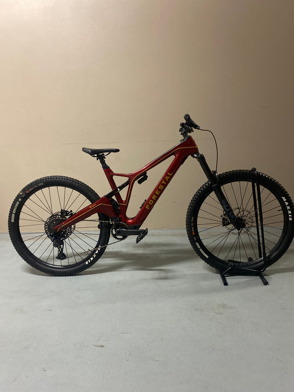Swanky Cycles 2022 Forestal Siryon Emtb